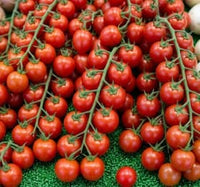Close-up of cherry tomatoes on a green surface