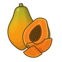 Illustration of a whole and a halved papaya on a white background